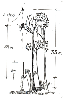 Blowgun